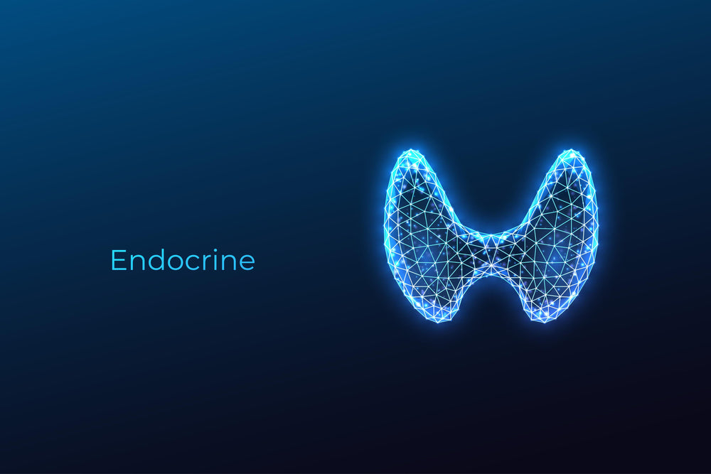 Endocrine