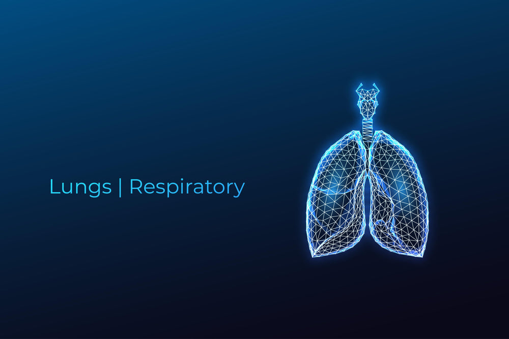 Lungs | Respiratory