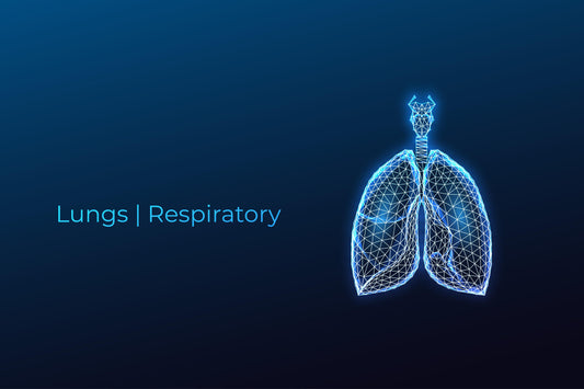 Lungs | Respiratory