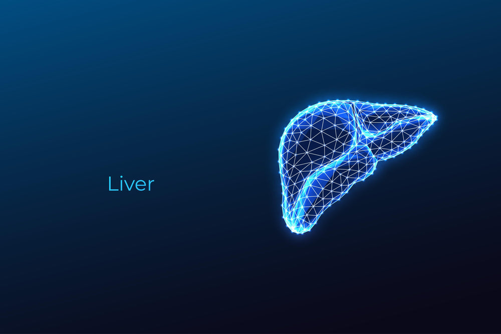Liver