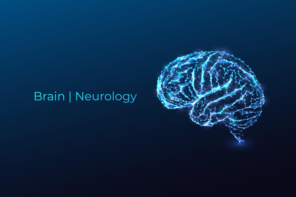 Brain | Neurology