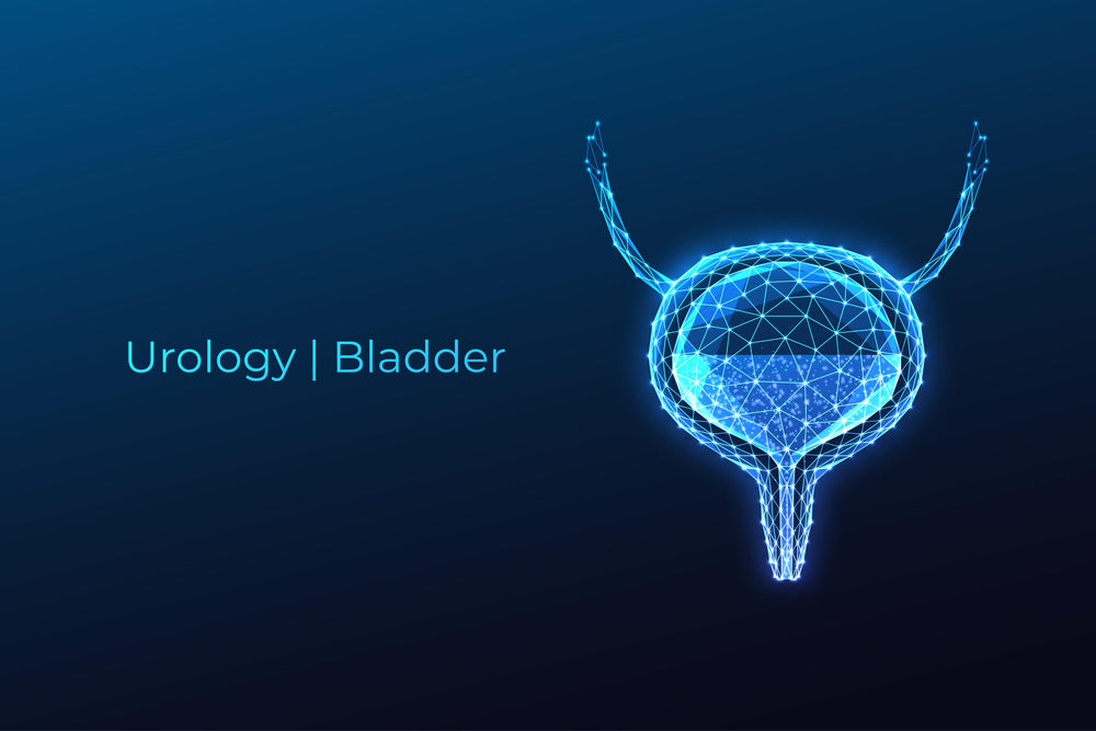 Urology | Bladder
